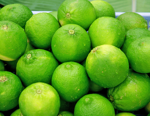 cam tại nông trại vỹ lâm